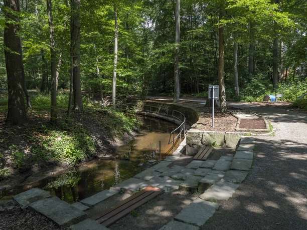 Ein schattiger Waldweg mit kleinem Bach und einer Brücke verbindet Naturerlebnis und Ruhe.