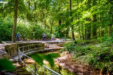 Radfahrer genießen einen schattigen Waldweg, der entlang eines kleinen, von Bäumen gesäumten Bachs führt.