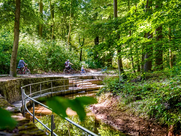 Radfahrer genießen einen schattigen Waldweg, der entlang eines kleinen, von Bäumen gesäumten Bachs führt.