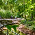 Stadtpark_Wassertretstelle_Radfahrer.jpeg Radfahrer genießen einen schattigen Waldweg, der entlang eines kleinen, von Bäumen gesäumten Bachs führt.
