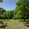 Zwei Holzbänke stehen auf einer sonnigen Wiese, umgeben von großen, grünen Bäumen im Park.