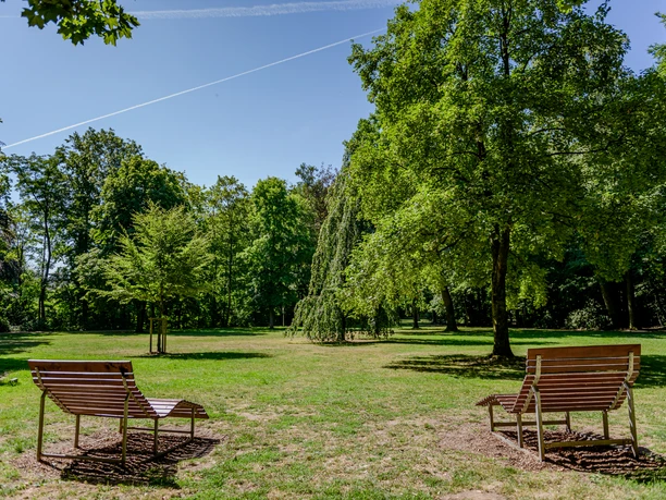 Zwei Holzbänke stehen auf einer sonnigen Wiese, umgeben von großen, grünen Bäumen im Park.