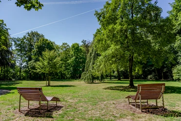 _BBB6693.jpeg Zwei Holzbänke stehen auf einer sonnigen Wiese, umgeben von großen, grünen Bäumen im Park.