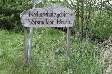 IMG_7007.JPG Ein hölzernes Schild markiert das Naturschutzgebiet Versmolder Bruch inmitten von grüner Vegetation.