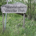 IMG_7007.JPG Ein hölzernes Schild markiert das Naturschutzgebiet Versmolder Bruch inmitten von grüner Vegetation.
