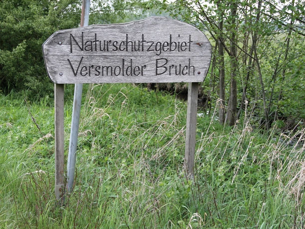 IMG_7007.JPG Ein hölzernes Schild markiert das Naturschutzgebiet Versmolder Bruch inmitten von grüner Vegetation.
