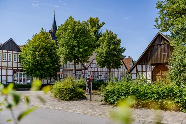_BBB6861.jpeg Fachwerkgebäude und Bäume in einer historischen deutschen Altstadt an einem sonnigen Tag.