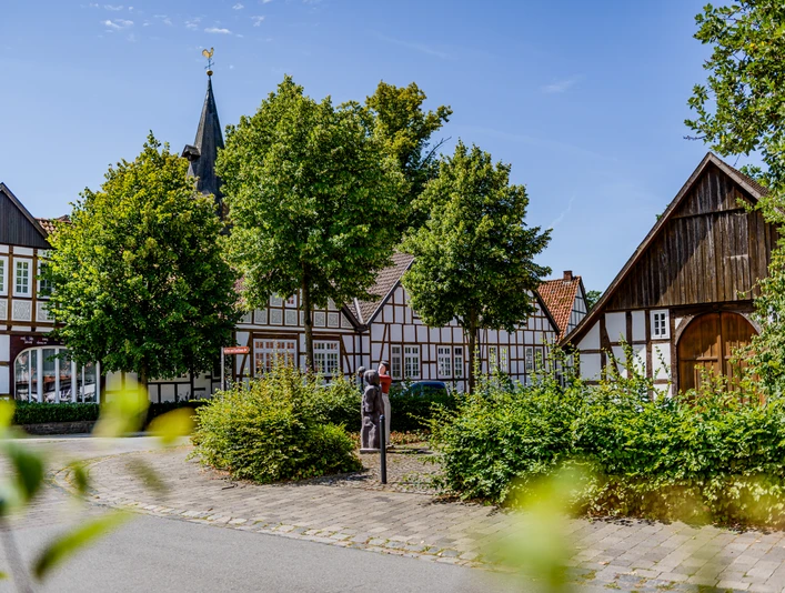 _BBB6861.jpeg Fachwerkgebäude und Bäume in einer historischen deutschen Altstadt an einem sonnigen Tag.