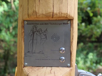 Hängematte Eine Holzsäule im Wald mit Metallschild zu Erzählungen aus dem Teutoburger Wald, umgeben von Bäumen.