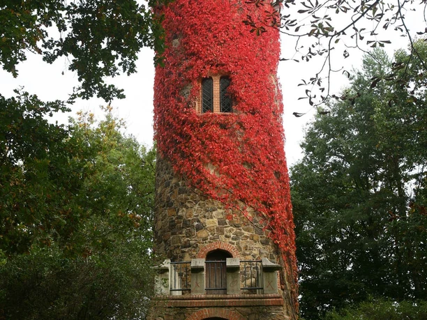 Aussichtsturm im Jutta-Park