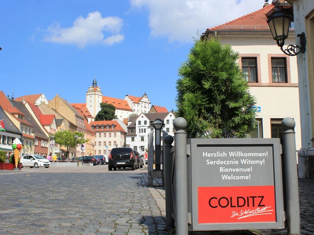 Blick auf Markt und Schloss Colditz