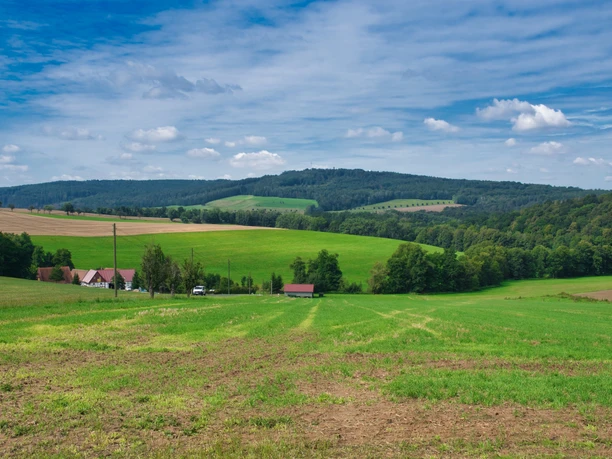 Blick auf den Rochlitzer Berg und die Zöllnitzer Mühle