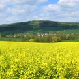 Blick zum Rochlitzer Berg