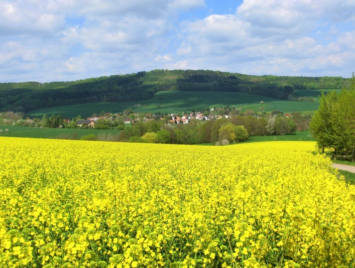 Blick zum Rochlitzer Berg