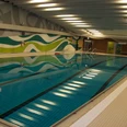 SchwimmWerk Steinhagen 25m-Becken Ein Hallenbad mit blauem Wasser, umgeben von bunten Wänden und einer ruhigen, modernen Atmosphäre.