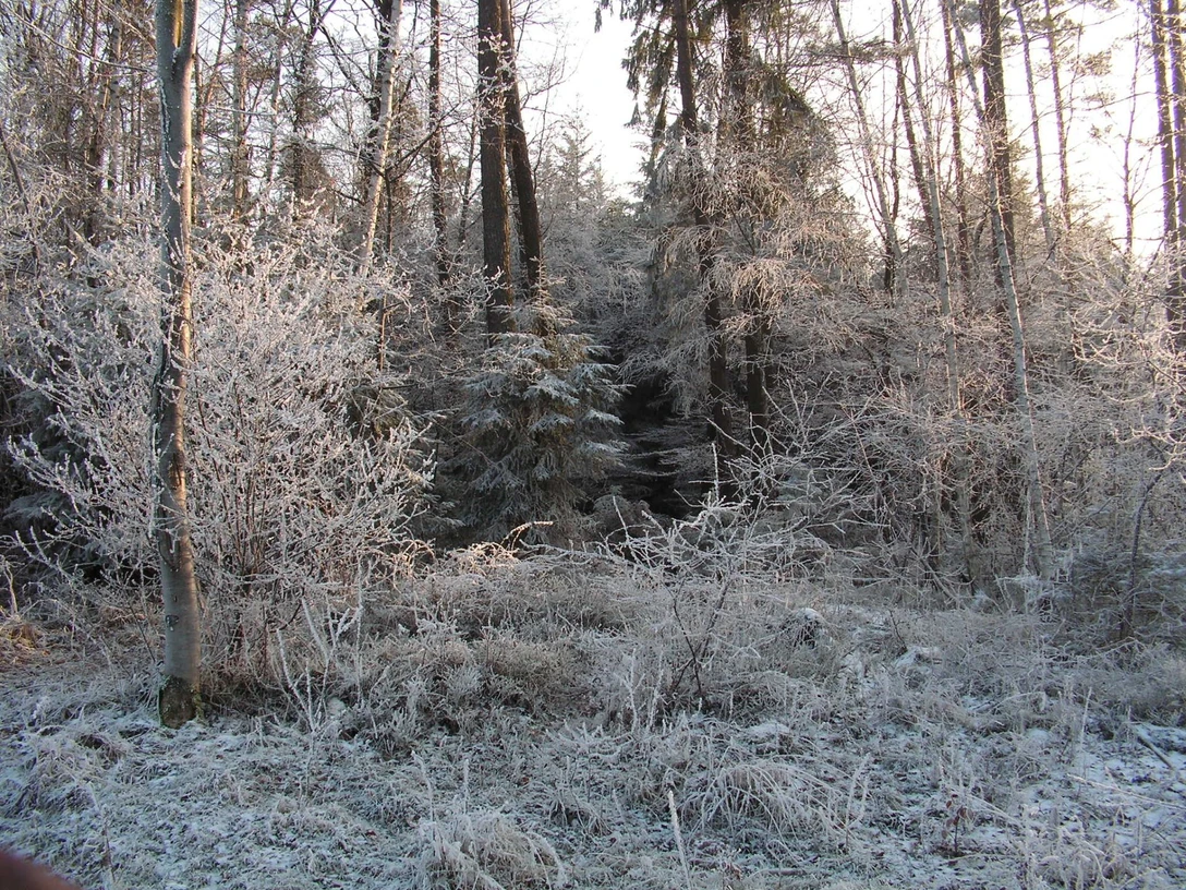 2025.12.28_Rauhnächte_Horst Leibrock_pixelio.de.jpg