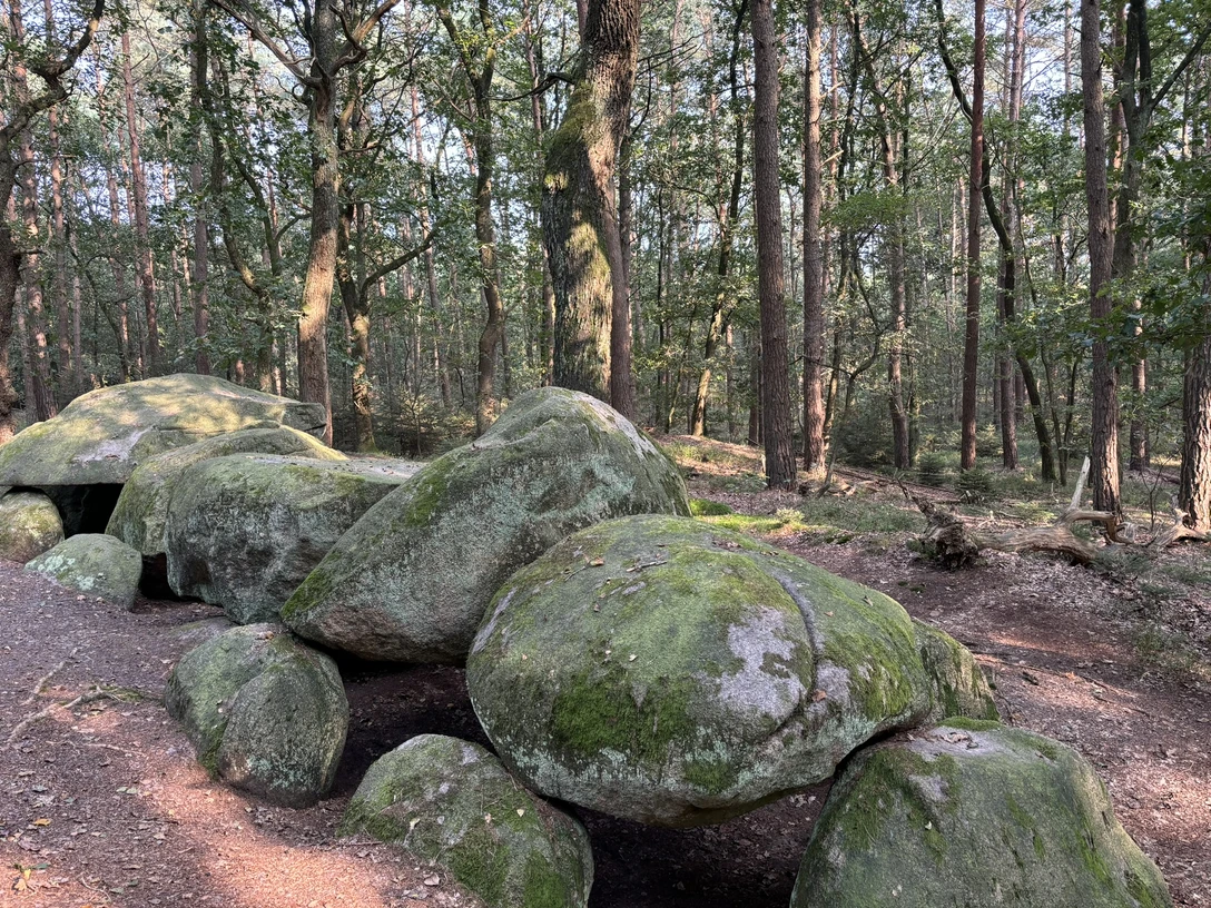 Steenhus in den Klöbertannen (18a) ©Emsland Tourismus GmbH (7).JPEG