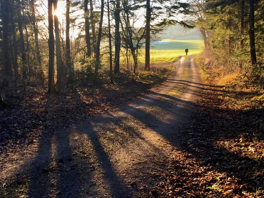 Alter Schilfsteinbruch