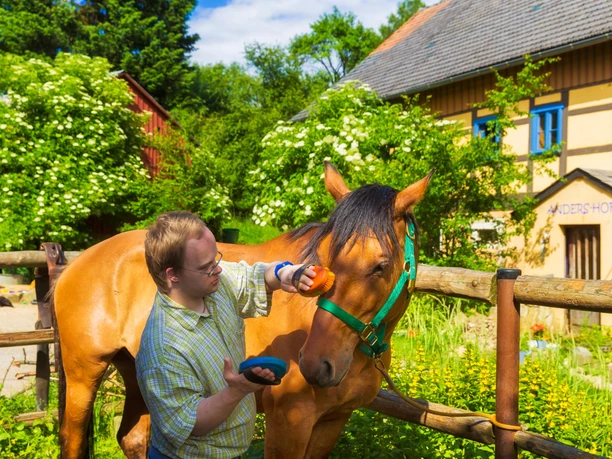 Andershof_Haus_Pferde_putzen Ein Mann pflegt ein Pferd vor einem Fachwerkhaus mit der Aufschrift "Andershof".