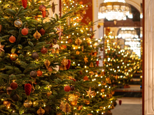 Mandarin Oriental Palace, Luzern Salon de Noël.jpg