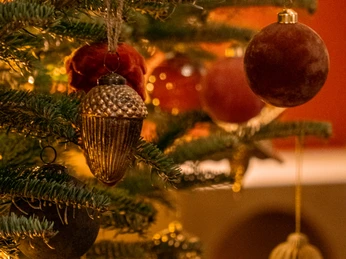 Mandarin Oriental Palace, Luzern Salon de Noël, Decoration.jpg