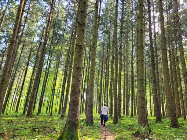 Waldbaden Shinrin Yoku