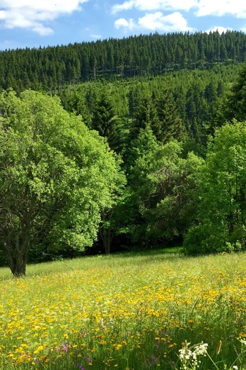 Alte Poststraße mit Blick zum Keilberg