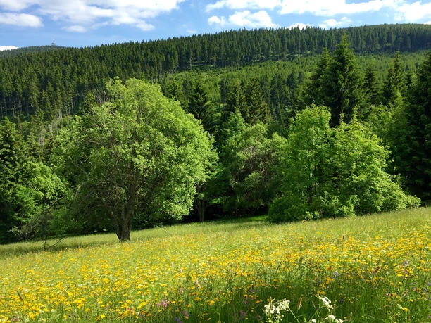 Alte Poststraße mit Blick zum Keilberg