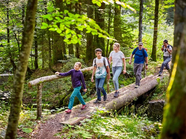 Unterwegs auf dem Bärgmanndlipfad