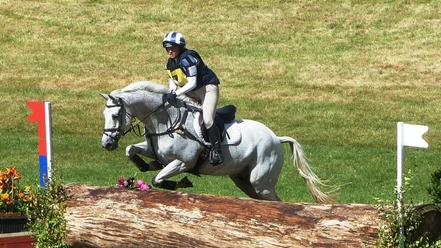 Reitturnier