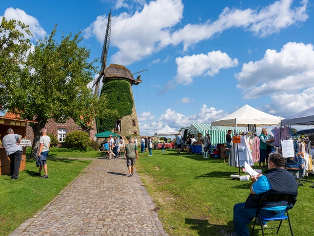 Mahl- und Backtag August 2024.jpg