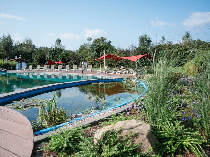 baden kann man im schwimmteich des campingplatzes südheideyou can swim in the swimming pond at the südheide campsitedu kan svømme i svømmedammen på südheide-campingpladsenje kunt zwemmen in de zwemvijver op camping südheide