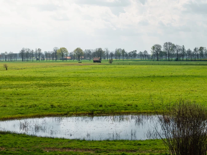 Eine weitläufige Moorlandschaft, im Vordergrund ein rundes Wasserbecken, dahinter Bäume und Felder.
