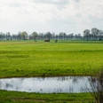 Oppenweher Moor Eine weitläufige Moorlandschaft, im Vordergrund ein rundes Wasserbecken, dahinter Bäume und Felder.
