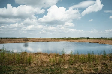 Oppenweher Moor Kleiner See im Oppenweher Moor, umgeben von Gräsern und Sträuchern, unter bewölktem Himmel.