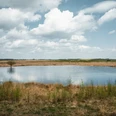 Oppenweher Moor Kleiner See im Oppenweher Moor, umgeben von Gräsern und Sträuchern, unter bewölktem Himmel.