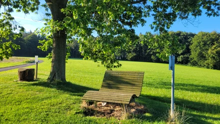 Stemweder Berg Eine Holzbank unter einem grünen Baum, angrenzend an eine weitläufige Wiese, lädt zum Verweilen ein.