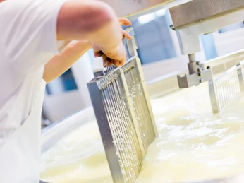 Milchmanufaktur Einsiedeln show dairy