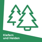 Kiefern und Heiden Kiefern und Heiden