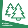 Kiefern und Heiden Kiefern und Heiden