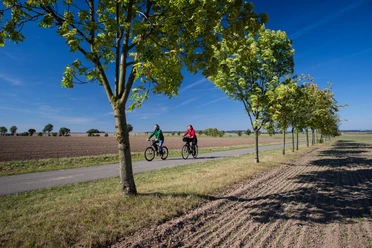 Bauerngartenroute - Allee