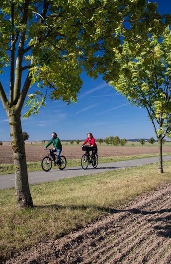 Bauerngartenroute - Allee