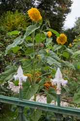 Bauerngartenroute
