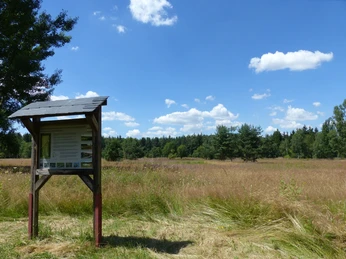 Informationstafel im Pöllwitzer Wald