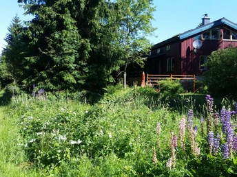 Neurehefeld am Kammweg