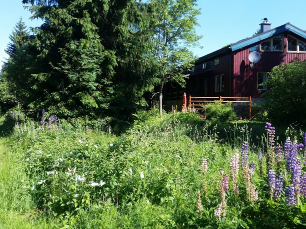 Neurehefeld am Kammweg