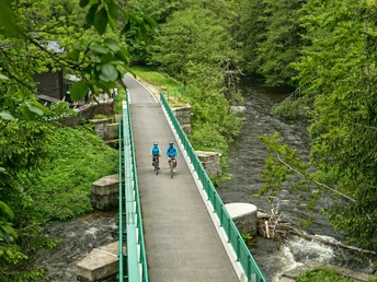 Querung Zwickauer Mulde