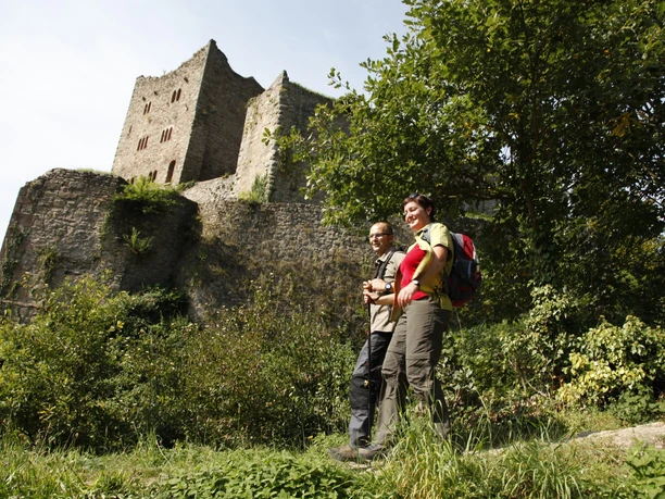 Castle Ruin Schauenburg