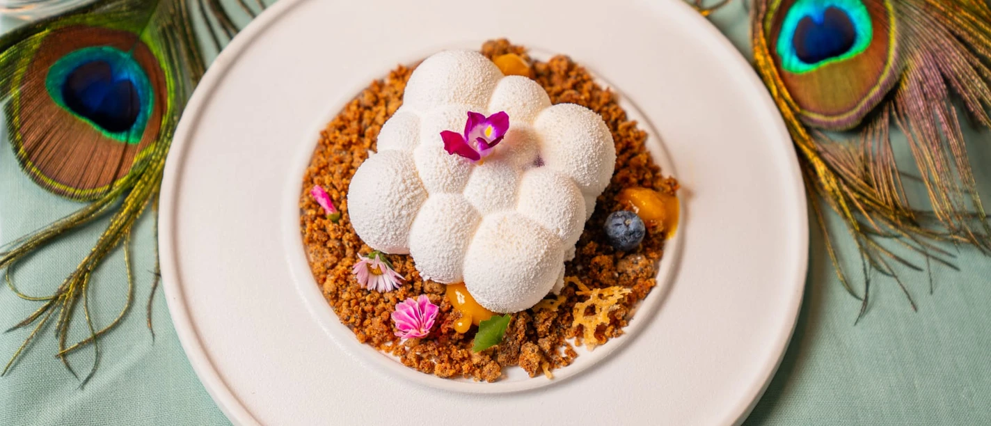 WhatsApp Image 2024-08-11 at 18.04.27 (3).jpeg