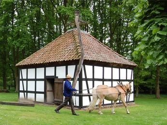 Museumshof Rossmühle Schwarz-weißes Fachwerkgebäude mit ziegelgedecktem Dach, davor Mann mit Pferd auf grüner Wiese.